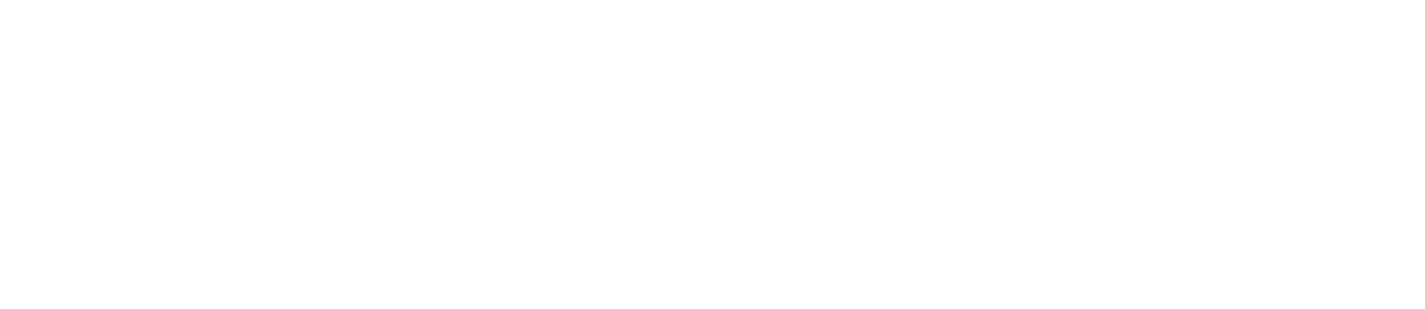logo light